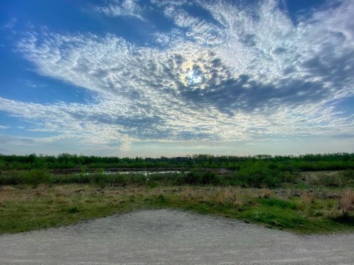 Morning sky as seen from Assiniboine Forest bike trail.