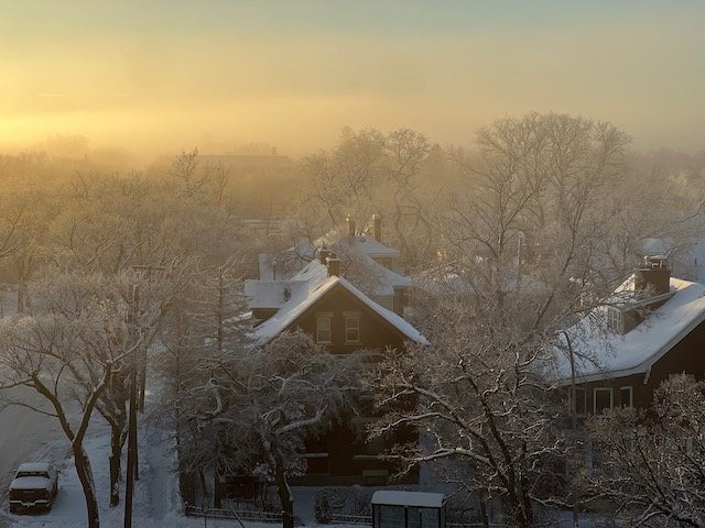 Foggy morning and hoarfrost