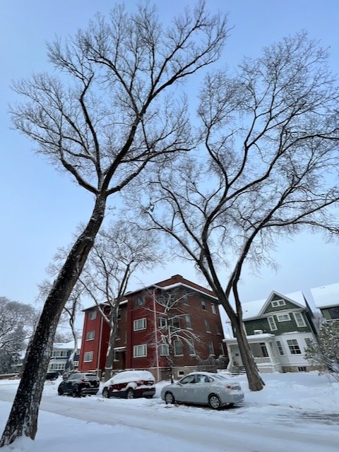 Corydon Village area