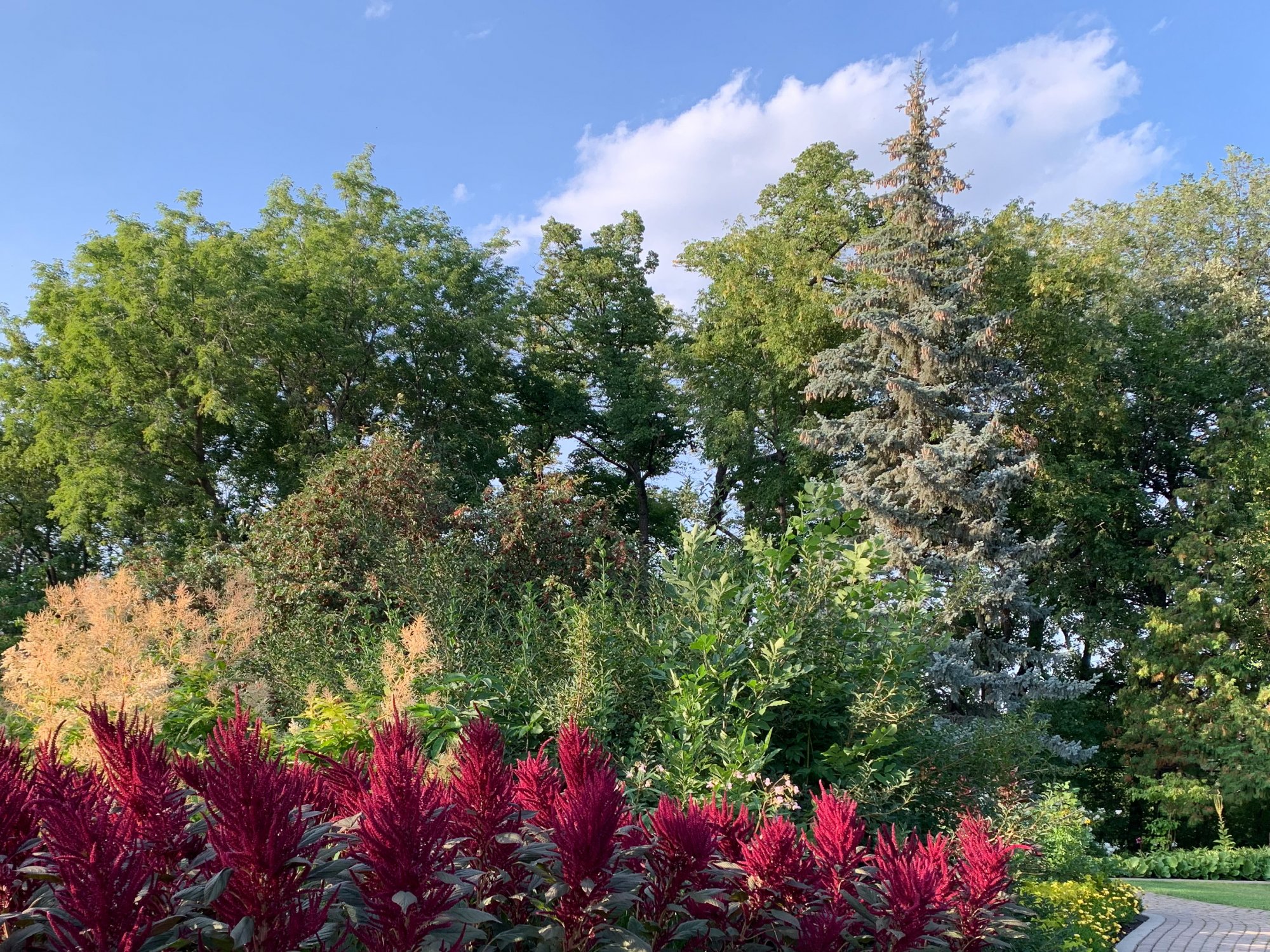 A nice summer day in Assiniboine Park.
